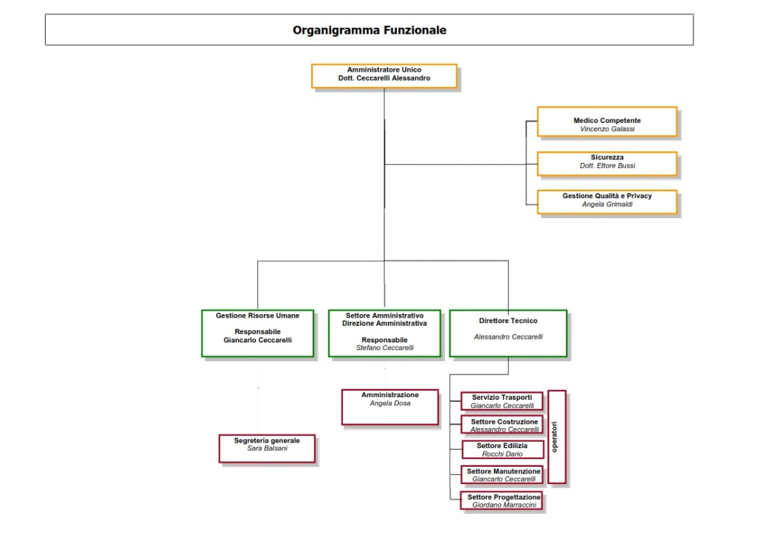 organizzazione societaria